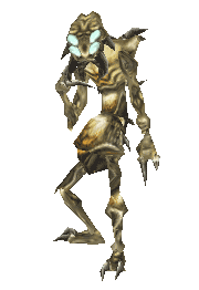 Random Character